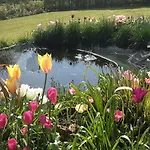 Bed and breakfast Hawthorn 4*