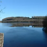 Bed and breakfast Hawthorn 4*