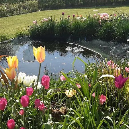 فندق مبيت وإفطار Hawthorn 4*