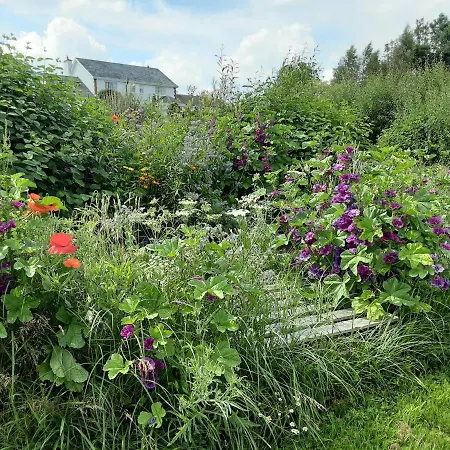 Hawthorn فندق مبيت وإفطار