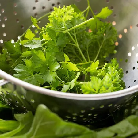 Hawthorn فندق مبيت وإفطار