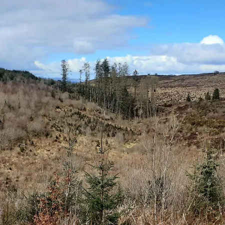 Hawthorn Panzió Belturbet