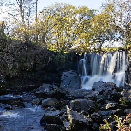 Hawthorn 4* Belturbet