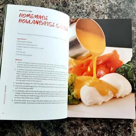 Hawthorn 贝尔特比特