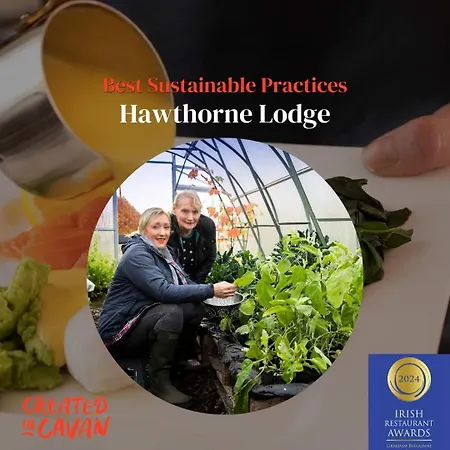Hawthorn Bed and Breakfast Belturbet