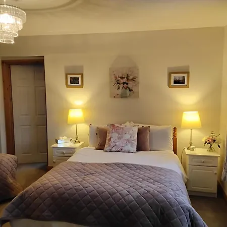 Hawthorn 贝尔特比特