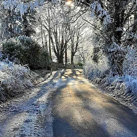 Oda ve Kahvaltı Hawthorn Belturbet