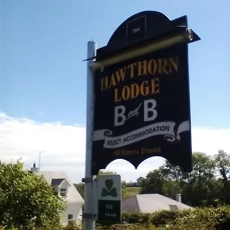 Hawthorn