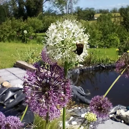 Hawthorn 4* 벨투르벳