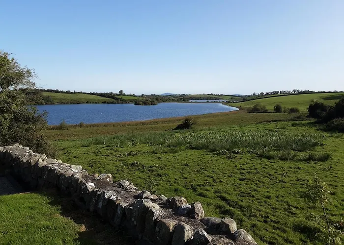 Hawthorn 4* Belturbet