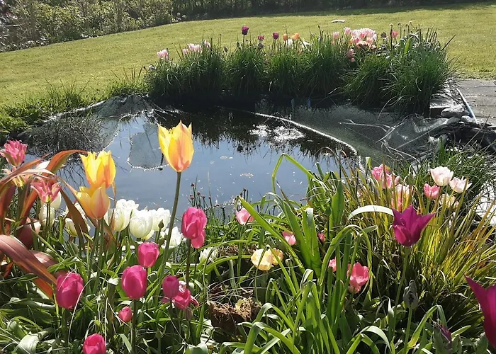 Oda ve Kahvaltı Hawthorn 4*