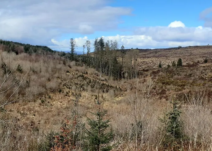 Hawthorn Oda ve Kahvaltı Belturbet