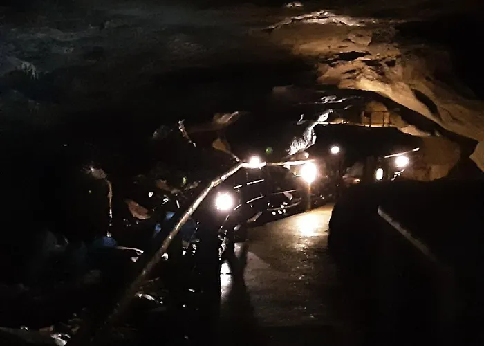 Hawthorn Oda ve Kahvaltı 4*