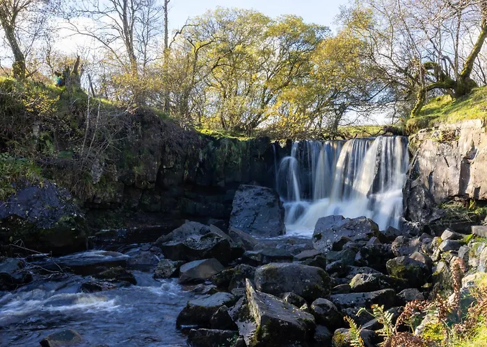 Hawthorn 4* Belturbet