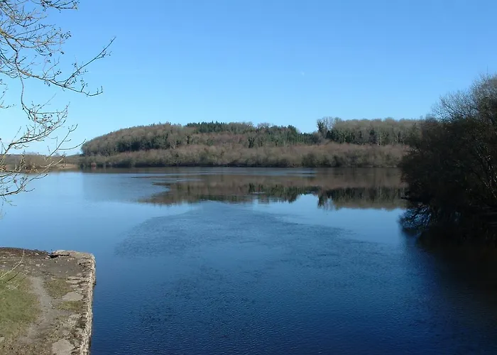 Oda ve Kahvaltı Hawthorn 4*